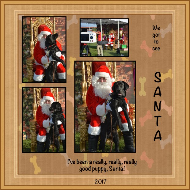 15.Santa