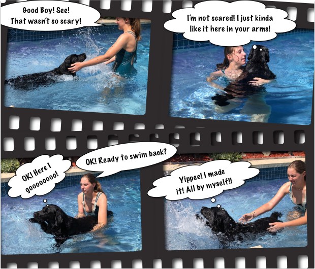 1B561273-6044-4BC8-A9FC-BC571881B900