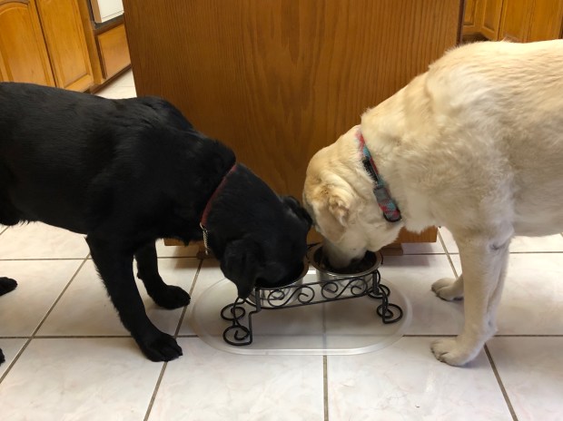 34F993BA-32F3-493F-AD9A-97BD1AE9CC78