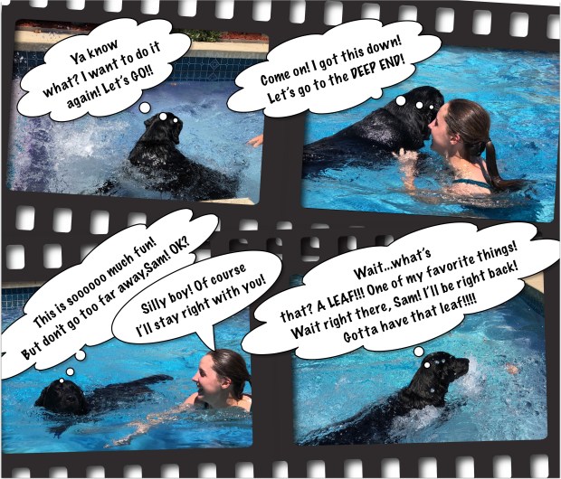 9F1605CA-C86A-4C6A-9B40-D30B814CC631